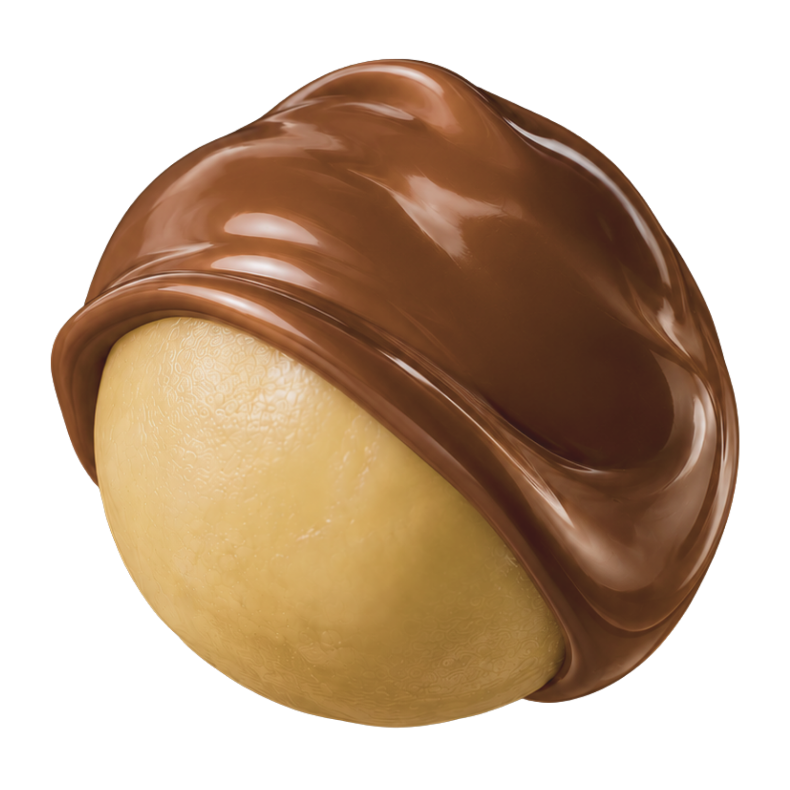 Macadamia kernel being coated in Belgian chocolate